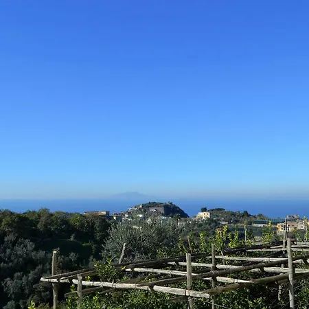 Il Viale Massa Lubrense