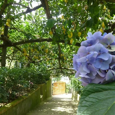 Il Viale Massa Lubrense