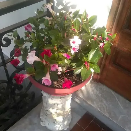 Apartamento Il Viale Massa Lubrense