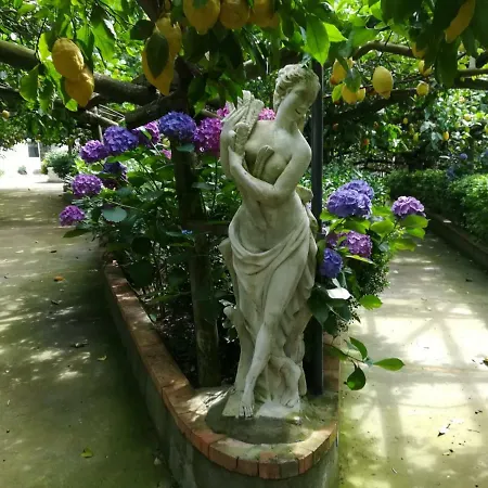 Apartamento Il Viale Massa Lubrense