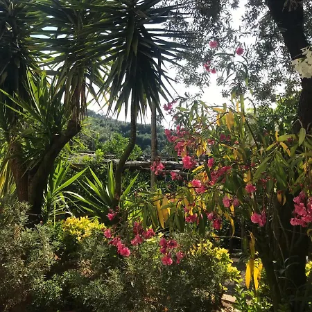 Apartamento Il Viale