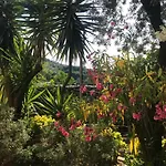 아파트 Il Viale