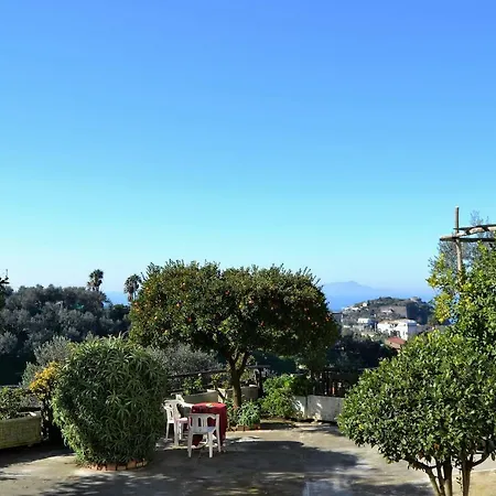 Il Viale Apartment