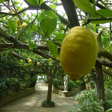 Apartament Il Viale Massa Lubrense