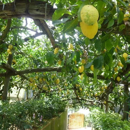 Il Viale Apartmán *